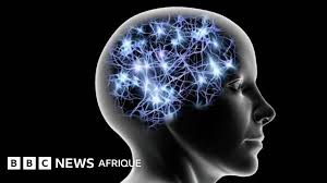 Publication sur la cognition humaine